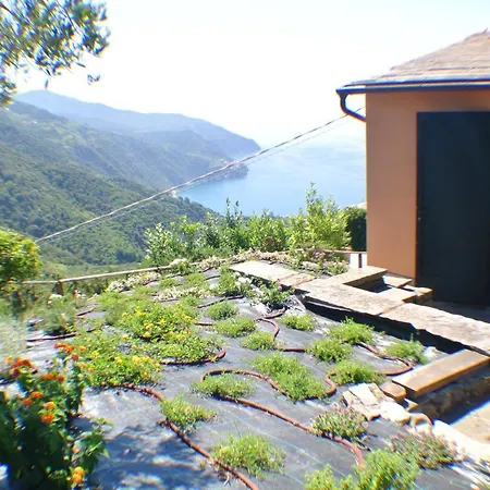 Walk And Relax Retreat - Homy 5 Terre Holiday home San Bernardino