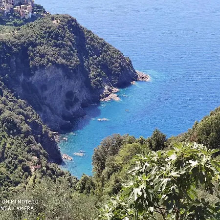 Walk And Relax Retreat - Homy 5 Terre