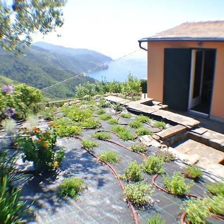 Walk And Relax Retreat - Homy 5 Terre * San Bernardino