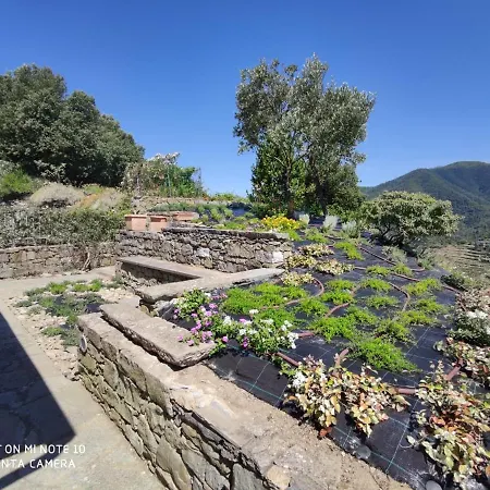 Walk And Relax Retreat - Homy 5 Terre San Bernardino