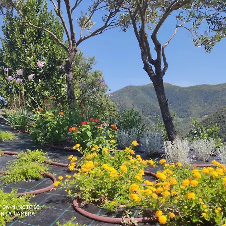Walk And Relax Retreat - Homy 5 Terre Holiday home San Bernardino