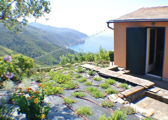 Walk And Relax Retreat - Homy 5 Terre Semesterbostad San Bernardino