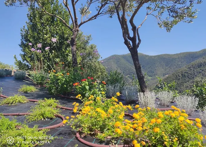 Walk And Relax Retreat - Homy 5 Terre בית נופש San Bernardino
